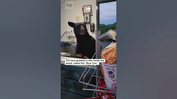 Bear snacks inside concession stand and scares worker - DayDayNews