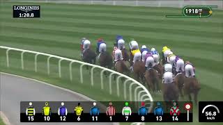 Vidéo de la course PMU DUBAI GOLD CUP SPONSORED BY AL TAYER MOTORS