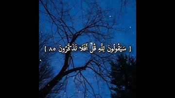 تلاوة قرآن خاشعة تريح النفس#قرآن #quran
