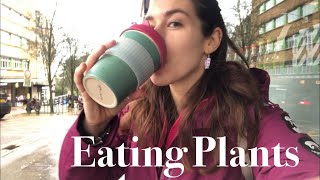 Going Plant Based My Top Tips After 5 Years Vegan