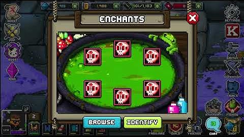 The Ultimate Beginner