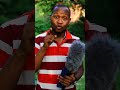 Mbwa Wako Akishaanza Kukubwekea Comedy Comedymemes Funny Duet Fun Motivation Funnypictures