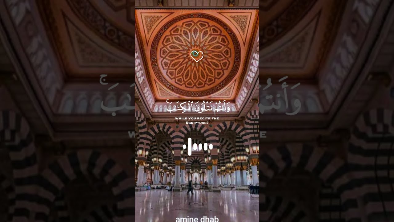 الحمد لله على كل نعمه .قرآن كريم راحة نفسية #الرحمن #اكسبلور #المصحف tv_aminedhab@.