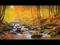 Beautiful Relaxing Music for Stress Relief - Meditation Music, Sleep Music, Ambient Study Music #31