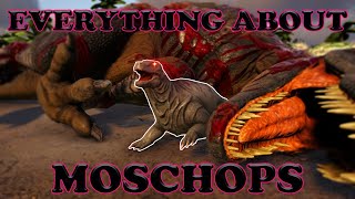 Everything You Need to Know About Moschops