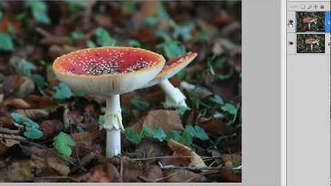 Focus stacking in Photoshop CS4