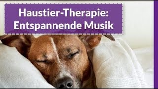 Entspannende Musik für Schlaf-Hunde und Katzen - Schlafmusik für Hunde und Katzen