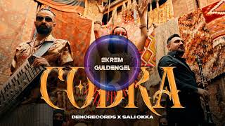 Sali Okka - Cobra Ekrem Guldengel Remix - 2025 Party Dance Mix Music
