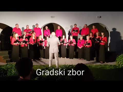 Gradski zbor 'Vila