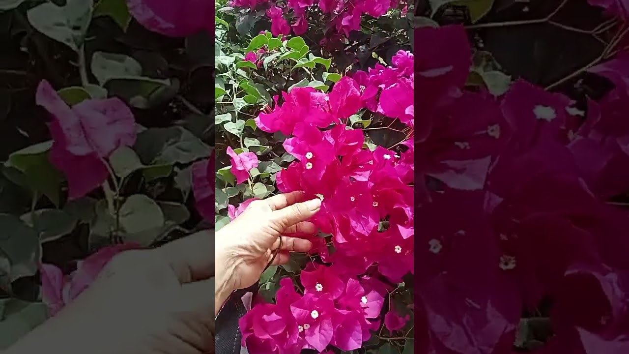 28 กุมภาพันธ์ ค.ศ. 2026