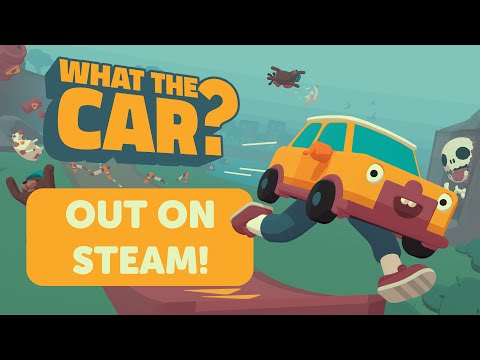 WHAT THE CAR?