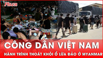 Cuộc giải cứu kịch tính những người Việt Nam khỏi bẫy lừa đảo ở Myanmar | Thời sự
