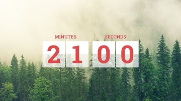 21 minute timer with colock tick