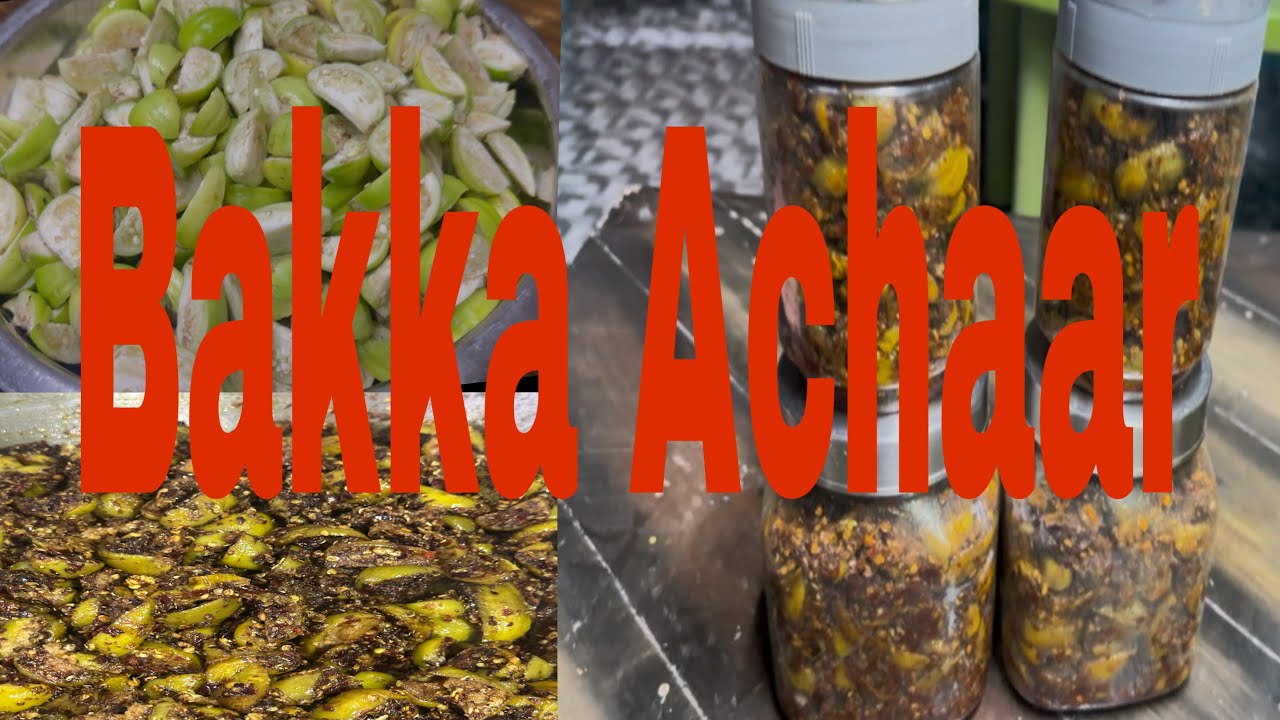 How to make bitter eggplant pickle /cooking/ pickle recipe/arunachale tastes/@meybosonam