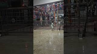 reels#theshanavytales#cutebaby #babyshort #monkeybaby #funnyvideo#shortvideo #cocomelan #catvideo