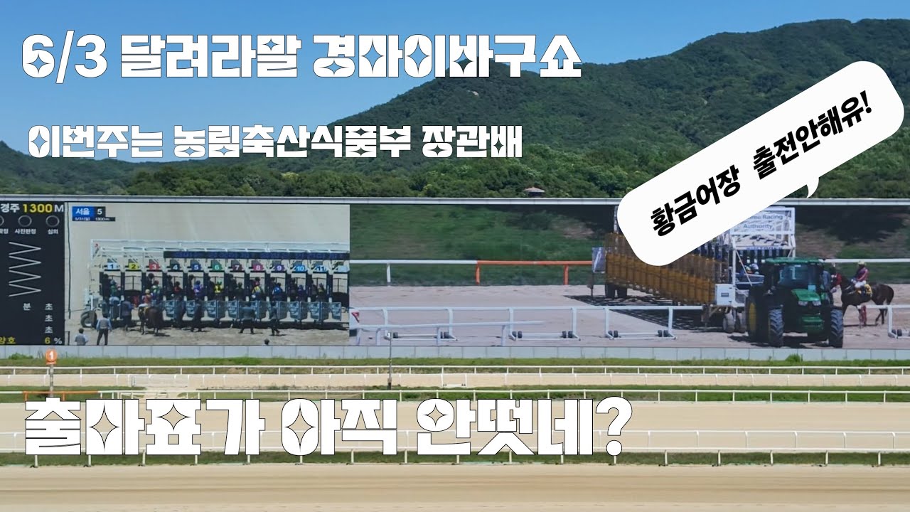 우승후보마 황금어장이 출전을 왜안하지?(뻐꾸기 울음소리에 경마이바구쇼 중단)