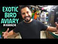 EXOTIC BIRD AVIARY IN KARACHI | AZLAN SHAH