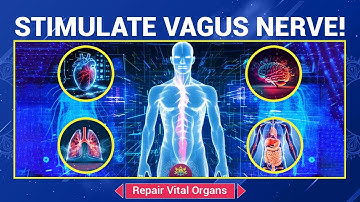 Stimulate Vagus Nerve, Repair Vital Organs - Restore  Nervous System & Full-Body Balance - 528 Hz