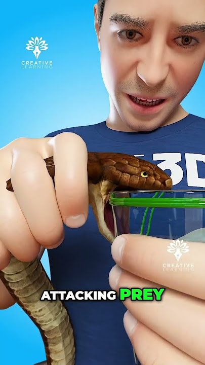 How Snake Venaom is Extract 😮  #venomextraction - Creativelearning3d