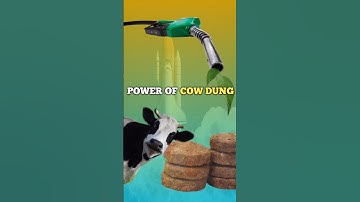 Japan Unveils Rocket Engine Fueled By Cow Dung #facts #funfacts #spaceexplorationday