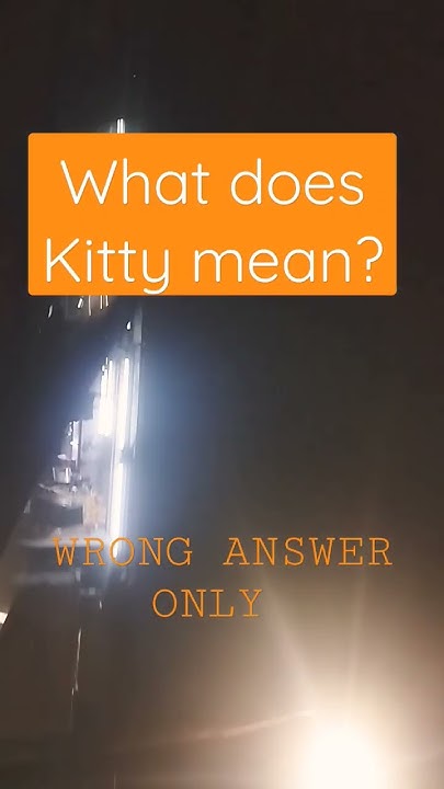 What Does Kitty Mean WRONG ANSWER ONLY YouTube what-does-kitty-mean-wrong-answer-only-youtube