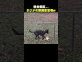 まさかの邪魔者登場w