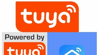 How to configure Tuya? / SPY WORLD MIAMI screenshot 2