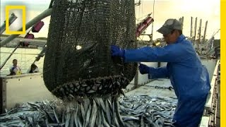 How More Efficient Fishing Can Protect the Ocean | National Geographic