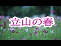 立山の春