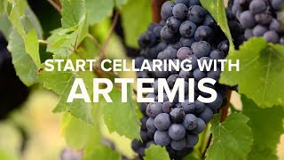 Stag's Leap Wine Cellars - Start your wine journey with ARTEMIS Cabernet Sauvignon by stagsleapwinecellars 1,636 views 1 year ago 2 minutes, 12 seconds