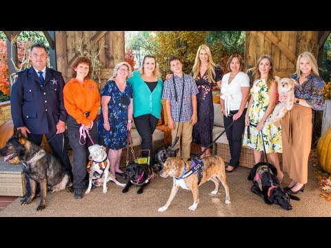 American Humane Hero Dog Awards - Home & Family