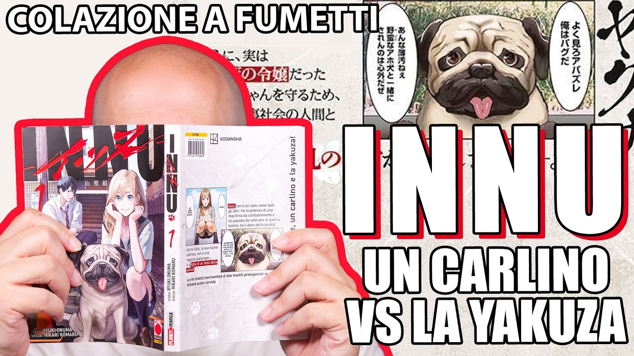 Innu: Un carlino contro la Yakuza - Colazione a Fumetti