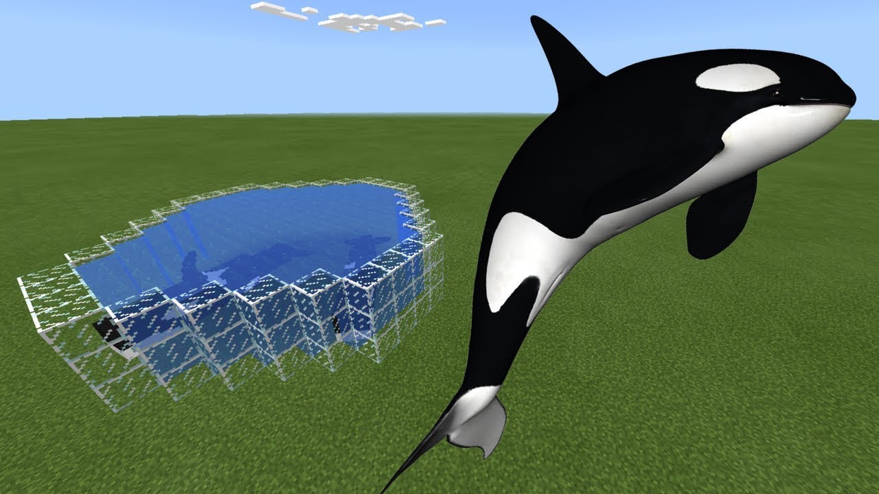 How To Make an ORCA Farm in Minecraft PE - YouTube How To Make an ORCA Farm in Minecraft PE - YouTube