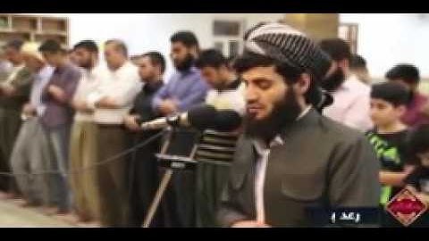سورة الفاتحة والملك بصوت القارئ / رعد بن محمد الكردي