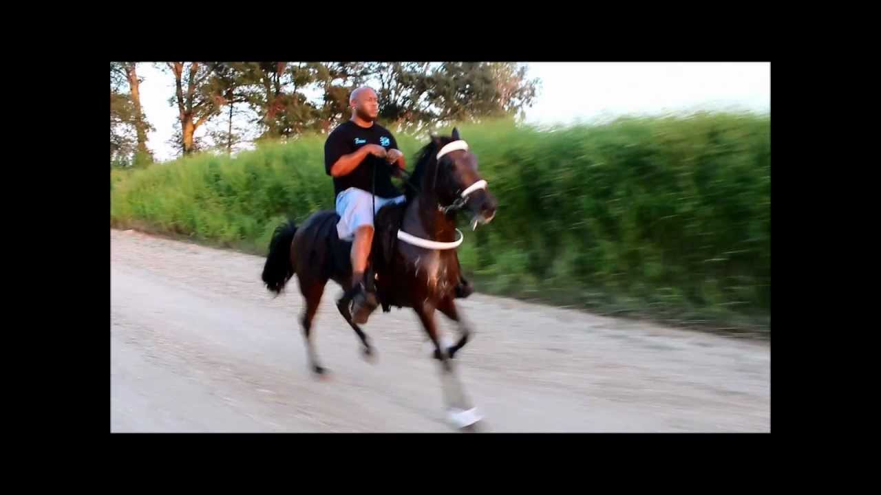 katain Singlefooting