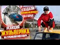 Реакция Жульверика на Москвич. Устроили пробку в Горах.