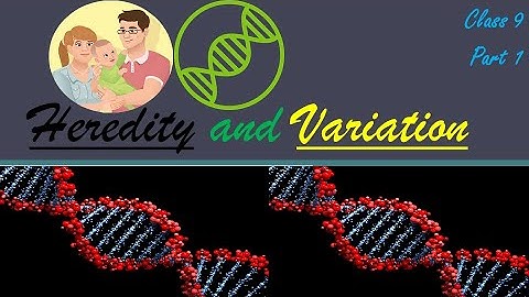 HEREDITY and VARITAION (Part 1) #Class 9 @Structure and Types of CHROMOSOMES.