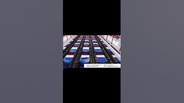 Kiwi fruit sorting conveyor # Automated fruit sorting machine # Roller conveyor # Automatic labeling