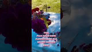 A hidden gem awaits at the flower farm