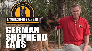 German Shepherd Ears update with GSM