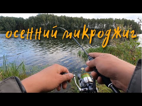 Микроджиг в сентябре. Ловля окуня на спиннинг осенью. Рыбалка на озере.