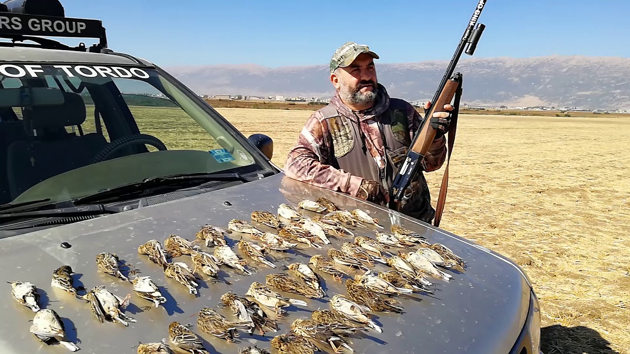 hunting in lebanon KING OF TORDO - YouTube