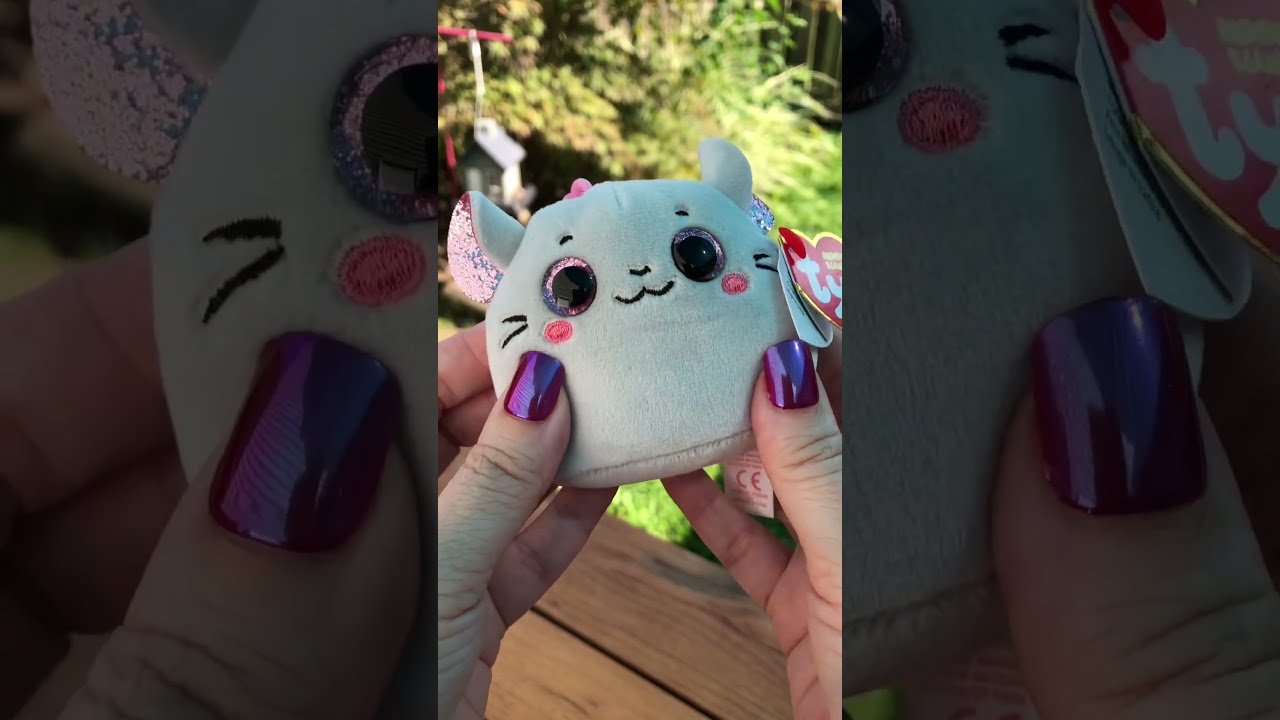 Ty Squishy Beanies Catnip Shorts Satisfyingvideo Asmr Mini