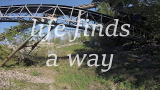 Life Finds A Way // FPV Freestyle in abandoned quarry