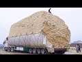 How tons of sugarcane waste is loaded  transported