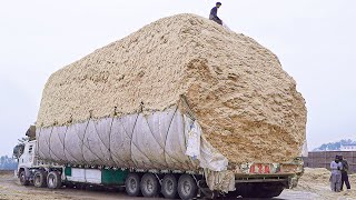 How Tons of Sugarcane Waste is Loaded & Transported