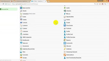 SVSF 2   1  Into Salesforce and Objects