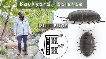 Backyard Science [Pill Bugs] - Hip Hop Science