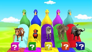 Long Slide Game With Elephant Gorilla Buffalo Hippopotamus Tiger - 3d Animal Game - Funny 3d Animals