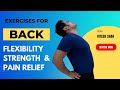 Exercises for back pain relief  strengthening  flexibility  r s yoga school  ritesh sir